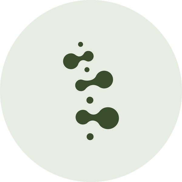 Iasora