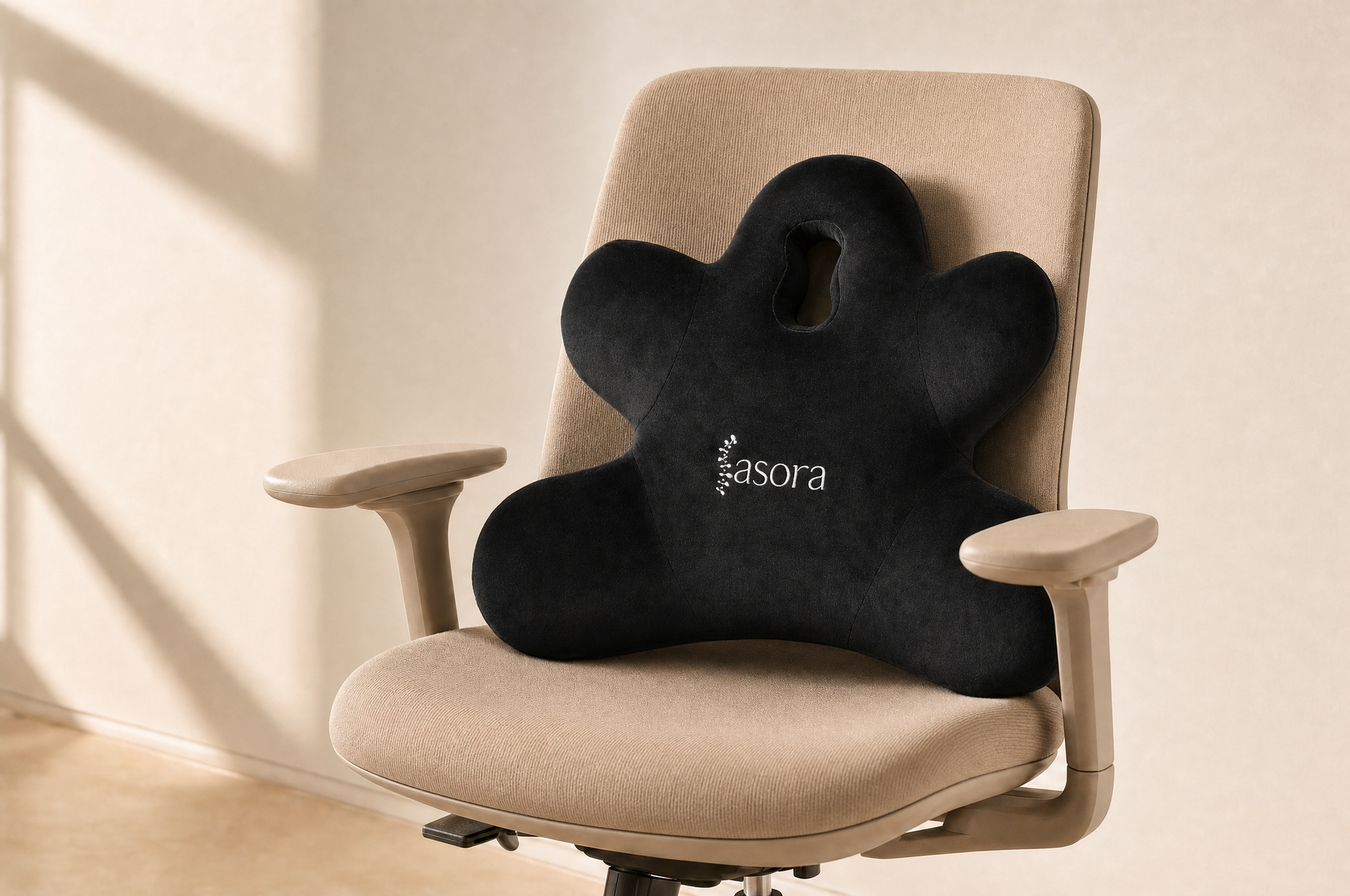 Iasora Velvet Back Cushion in a sunlit room
